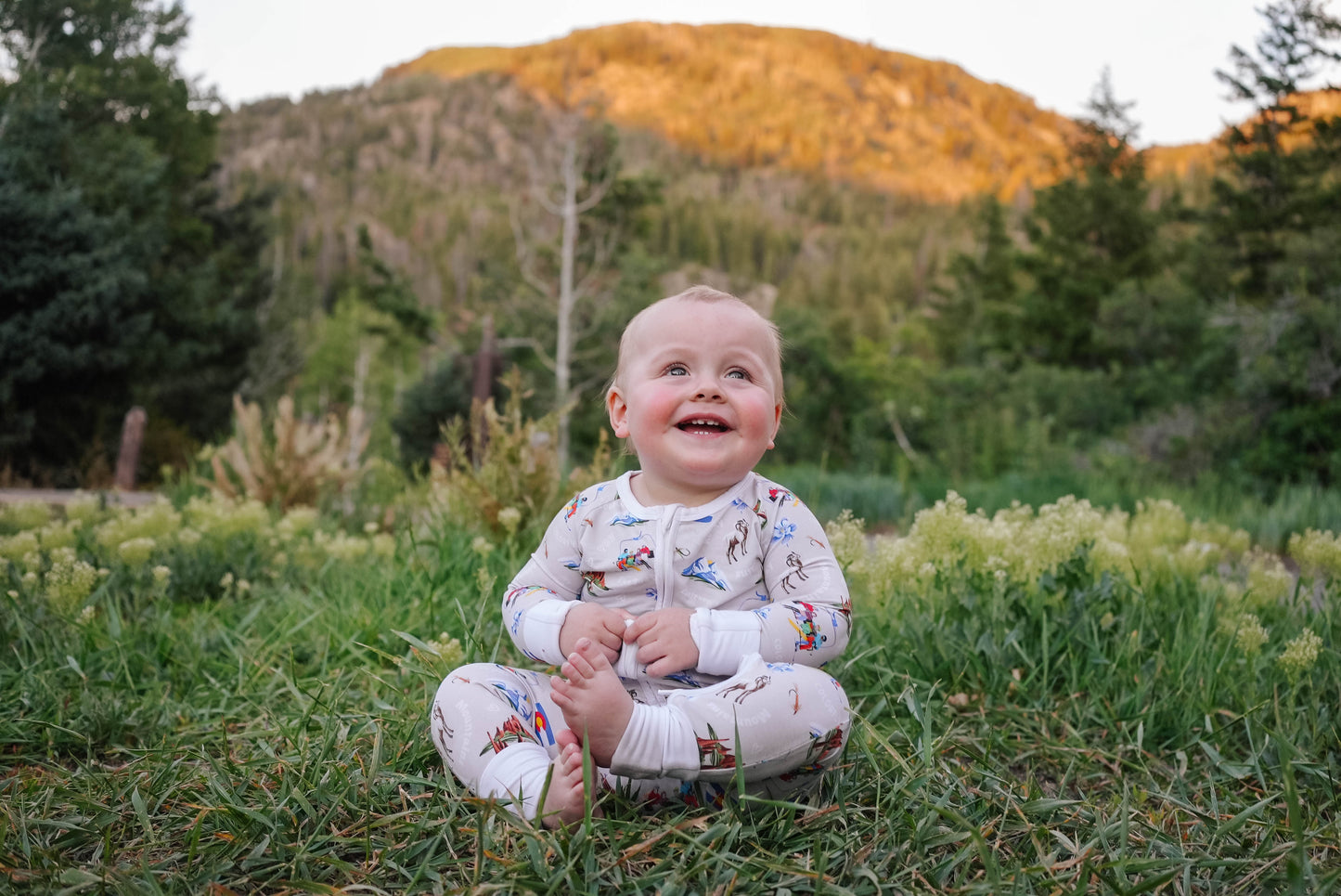 Cozy Colorado Zippy